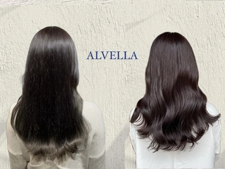 ALVELLA【アルベラ】店内